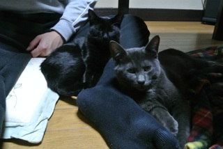 f0374160_17210713.jpg