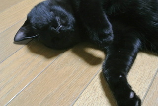 f0374160_17211074.jpg