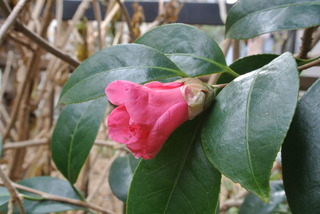 f0374160_17211934.jpg