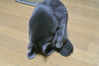 f0374160_17212865.jpg