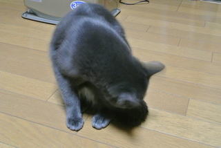 f0374160_17212875.jpg