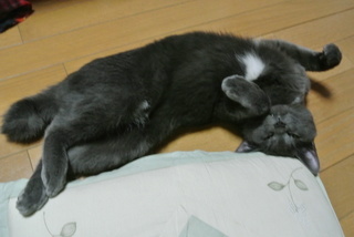 f0374160_17215591.jpg