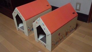 f0374160_17225726.jpg