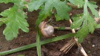 f0374160_17230431.jpg