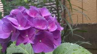 f0374160_17230492.jpg