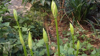 f0374160_17240056.jpg