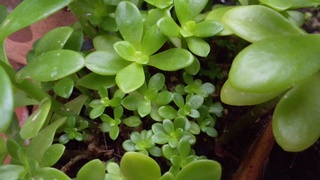 f0374160_17240910.jpg
