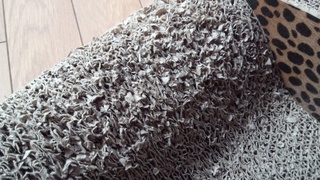 f0374160_17241369.jpg