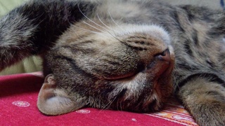 f0374160_17250319.jpg