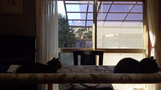 f0374160_17250421.jpg