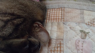 f0374160_17251073.jpg