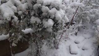 f0374160_17253106.jpg