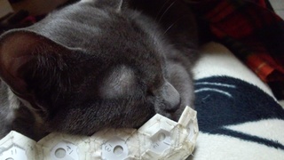 f0374160_17253503.jpg