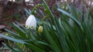 f0374160_17260846.jpg