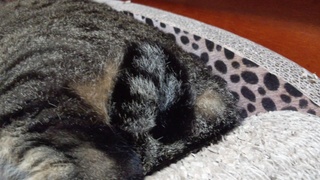 f0374160_17262811.jpg