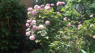f0374160_17263282.jpg