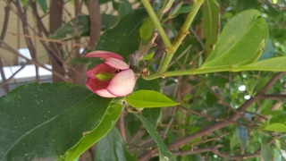 f0374160_17263604.jpg