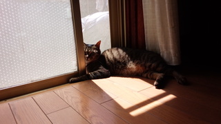 f0374160_17264092.jpg