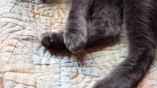 f0374160_17264742.jpg
