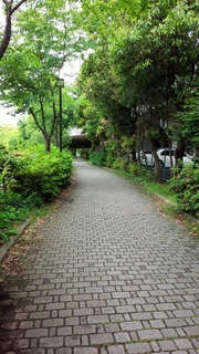 f0374160_17264783.jpg