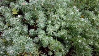 f0374160_17265703.jpg