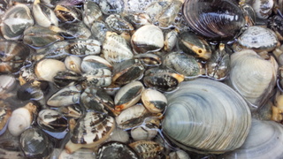 f0374160_17270279.jpg