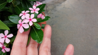 f0374160_17271261.jpg