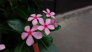 f0374160_17271270.jpg