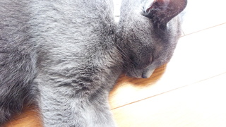f0374160_17272305.jpg
