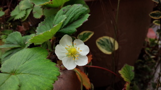f0374160_17282004.jpg