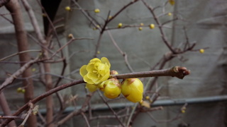 f0374160_17291953.jpg
