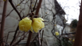 f0374160_17291958.jpg