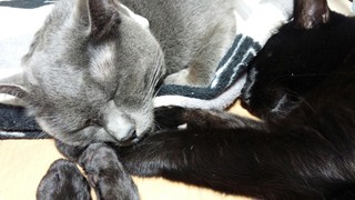 f0374160_17292054.jpg