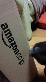 f0374160_17293403.jpg