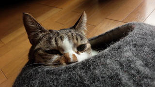 f0374160_17294607.jpg
