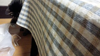 f0374160_17294858.jpg