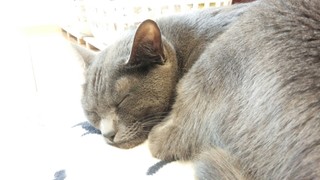 f0374160_17295474.jpg