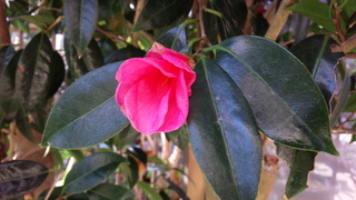 f0374160_17295917.jpg