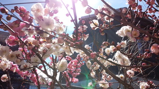 f0374160_17295922.jpg