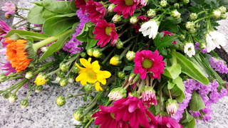 f0374160_17300450.jpg
