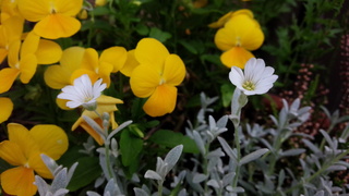 f0374160_17303995.jpg