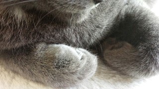 f0374160_17310940.jpg