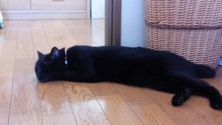 f0374160_17311938.jpg