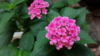 f0374160_17312712.jpg