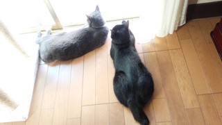 f0374160_17313061.jpg