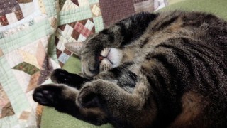 f0374160_17320118.jpg