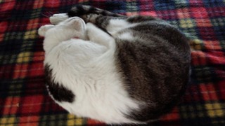 f0374160_17320139.jpg