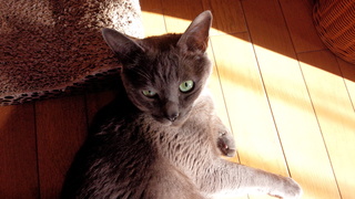 f0374160_17325444.jpg