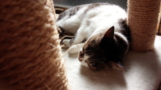 f0374160_17330677.jpg