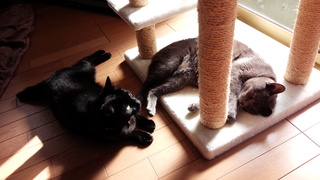 f0374160_17331108.jpg